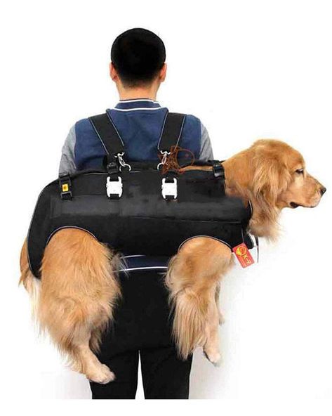 8 Practical Dog Carrier Backpacks for Pups Over 25 lbs - Hey, Djangles. Large Dog Carrier, Dog Backpack Carrier, Dog Travel Bag, Pet Backpack Carrier, Dog Carrier Bag, Dog Clothes Diy, Pet Backpack, Hiking Dogs, Dog Backpack