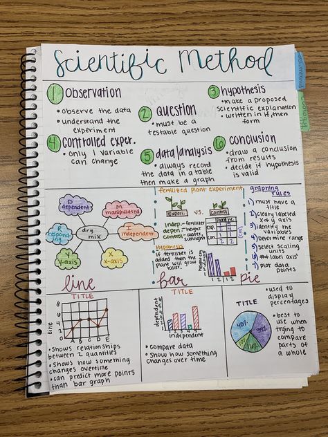 Biology Notes Scientific Method, Scientific Method Notes Aesthetic, Psych Notes Ideas, Preppy Science Notes, One Pager Ideas Aesthetic Science, Science One Pager Examples, Biology Honors Notes, One Pager Science, Biology One Pager