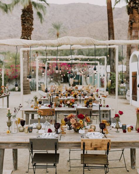 Couple: Eleni and Daniel⁠ ⁠ 📍Korakia, Palm Springs, California⁠ ⁠ What we love about this wedding: The unique 1920s Moroccan-inspired venue, the light bulb chandelier and floral installation above the reception tables, and the desert-chic vibes.⁠ ⁠ Who made it happen? These talented vendors brought this stunning wedding to life:⁠ ⁠ Photography by @letsfrolictogether⁠ Event Planning by @thewalkdowntheaisle⁠ Ceremony + Reception Venue @korakia⁠ Floral Design by @layeredvintage ⁠ Catering by @f... Light Bulb Chandelier, Bulb Chandelier, Desert Chic, Floral Installation, Reception Tables, Palm Springs California, Chic Vibes, Reception Table, Reception Venues