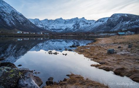 Tundra Aesthetic, Artic Tundra, Tundra Landscape, Snowy Tundra, Pam Godwin, Tundra Biome, Biome Project, Hunger Games Arena, Perspective Reference