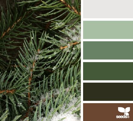 winter greens - design seeds Design Seeds Color Palette, Winter Greens, Seeds Color, Social Design, Room Color Schemes, Color Palate, Design Seeds, Color Harmony, Brown Tones