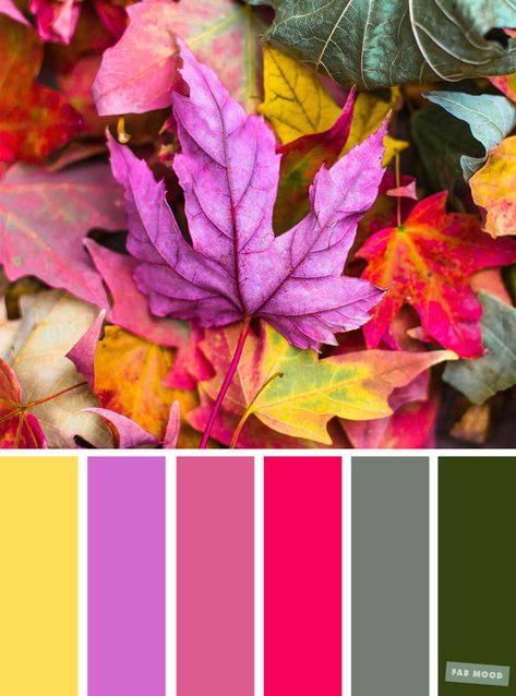 59 Pretty Autumn Color Schemes - Fabmood | Wedding Colors, Wedding Themes, Wedding color palettes #fallcolor #colors #colorpalette #colour #colorschemes Palette Viola, Orange Palette, Orange Color Palettes, Purple Color Palettes, Colors Wedding, Color Palette Yellow, Color Schemes Colour Palettes, Fall Color Palette, Design Seeds