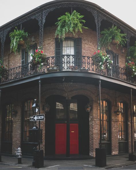 Rdr Aesthetic, New Orleans Decor, New Orleans Architecture, New Orleans Vacation, Louisiana Travel, St Denis, Visit New Orleans, New Orleans French Quarter, New Orleans Travel