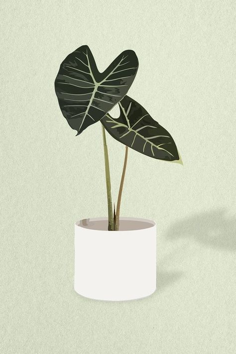 Plant vector art, Monstera illustration | Premium Vector - rawpixel Plant Aesthetic Illustration, Green Plants Aesthetic Drawing, Plants Iphone Wallpaper, Alocasia Plant Drawing, African Mask Plant, Aesthetic Vector, Monstera Illustration, House Plant Illustration, Alocasia Longiloba