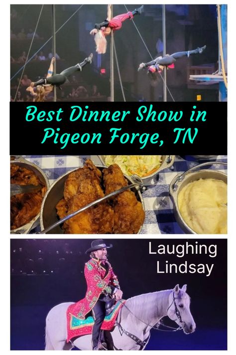 Dinner Shows In Pigeon Forge, Pigeon Forge Dinner Shows, Tennessee Family Vacation, Gatlinburg Tennessee Vacation, Vacation Countdown, Dinner Show, Pigeon Forge Tennessee, Best Dinner, Dinner Theatre