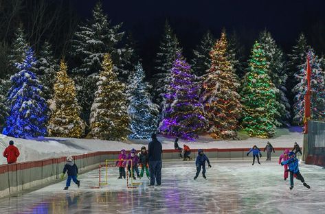 Roseville Oval ice rink lit up for the holidays Christmas Ice Skating, Outdoor Skating Rink, Ice Skating Videos, Outdoor Rink, Outdoor Ice Skating, Christmas Skating, Outdoor Skating, Skating Ice, Christmas Ice Skates