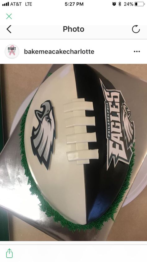 Eagles Football Cake Ideas, Philadelphia Eagles Cake Ideas, Eagles Birthday Party Ideas, Eagles Grooms Cake, Philly Eagles Cake, Eagles Birthday Cake, Eagles Football Cake, Philadelphia Eagles Cake, Eagle Snacks