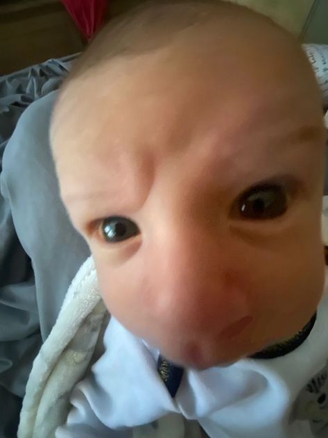 Weird Baby Pictures, Funny Kid Pictures, Baby Funny Pics, Funny Baby Pics, Funny Pictures Of Babies, Funny Kids Pictures, Cute Babys, Fat Babies, Kids Humor