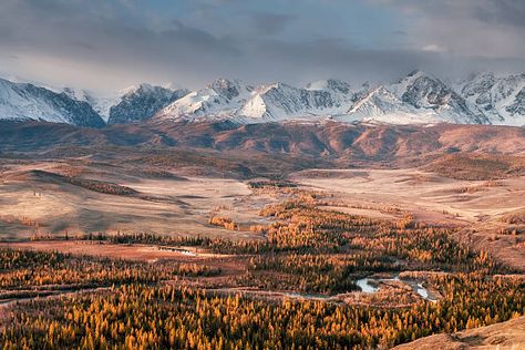 1,396 Russian Steppes Photos and Premium High Res Pictures - Getty Images People With Green Eyes, Russia Landscape, Russian Landscape, Altai Mountains, Temperate Rainforest, Out Of Africa, Environmental Art, Landscape Photographers, Photo Contest