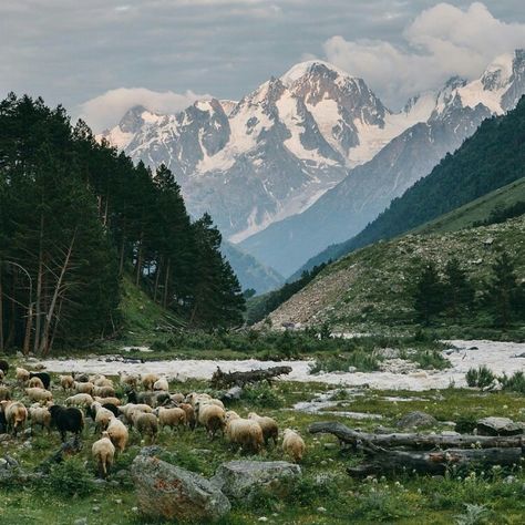 Russia Landscape, Russian Landscape, Mountain Landscape Photography, Beautiful Places To Travel, Nature Aesthetic, Liam Payne, Mountain Landscape, Niall Horan, Amazing Nature