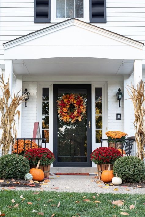 Colorful and Festive Fall Front Porch Decor #falldecor #frontporch #decor #porch #patio #fall #autumn #decorating Front Stoop Fall Decor, Patio Fall Decor, Fall Porches, Autumn Porch, Mums In Pumpkins, Large Bird Houses, Fall Front Porch Decor Ideas, Fall Decor Inspiration, Fall Front Porch Decor