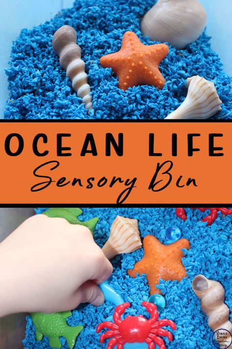 Ocean Life Sensory Bin - Simple Living. Creative Learning Ocean Animal Sensory Bin, Butterfly Classroom, Homestead Family, Kindergarten Sensory, Sensory Classroom, Kids Sensory Activities, Toddler Sensory Bins, Study Craft, Sensory Bags