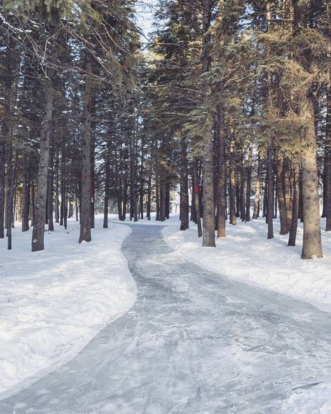 Ice Skating Trails in Canada and U.S. - Forest Skating Trails Wild Ice Skating, Forest Skating, Ice Skating Outdoors, Winter Skating, Quotes Winter, Outdoor Ice Skating, Nature Nails, Ice Lake, Whistler Canada