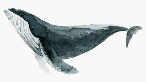 Whale Artwork, Whale Art Print, Creature Marine, Whale Painting, Painting Styles, Watercolor Whale, Whale Art, Humpback Whale, Blue Whale