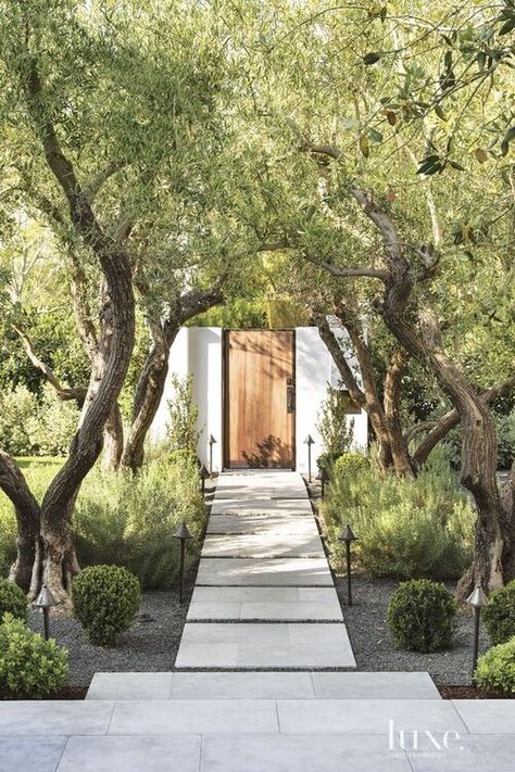 Front Yard Design, Modern Landscape Design, Mediterranean Decor, Mediterranean Garden, Yard Design, Interior Modern, Spanish Colonial, Modern Landscaping, Front Garden