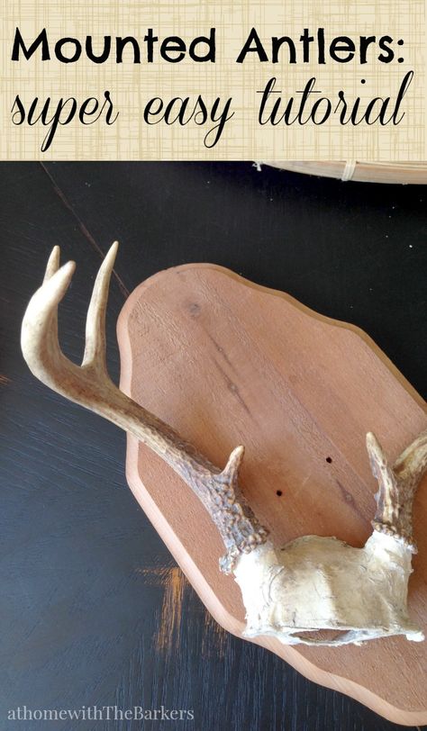 Mounted Antlers-Super Easy Tutorial Antler Mount Ideas, Deer Antlers Diy, Deer Antler Ideas, Antler Mounts, Diy Antlers, Deer Antler Mount, Mounted Antlers, Antler Projects, Deer Antler Crafts