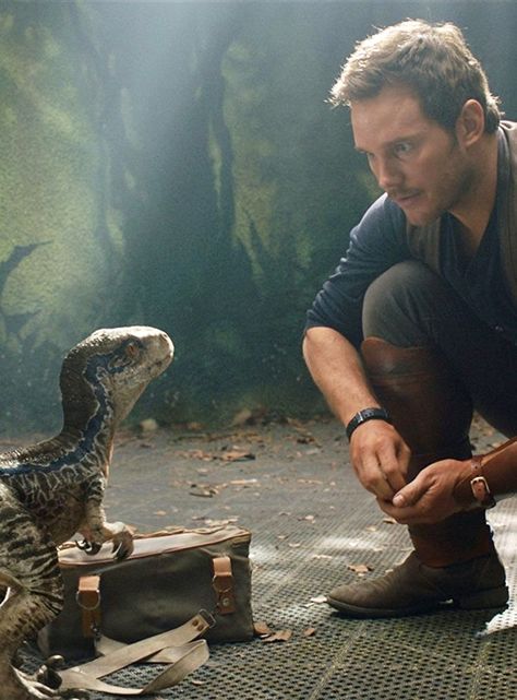 Jurassic World Chris Pratt, Jurassic World Wallpaper, Jurassic Movies, Blue Jurassic World, Jurassic World Movie, Jurassic Park Film, New Jurassic World, Jurassic Park Movie, Jurrasic Park