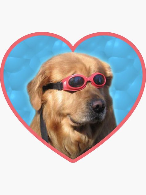 "Doggo Stickers: Swimmer Dog" Sticker by Elisecv | Redbubble Funny Dog Memes, Stickers For Sale, Dog Stickers, Aesthetic Stickers, Dog Memes, Training Your Dog, 귀여운 동물, Dog Life, Dog Friends