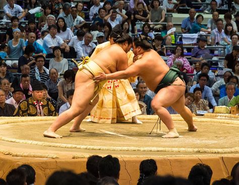 How to watch Sumo wrestling in Japan. #sumowrestling #sumo #japan Wrestling Rules, Sumo Wrestler, How To Photograph, Japanese Gifts, Body Anatomy, Types Of People, Mixed Martial Arts, Grappling, Buy Tickets