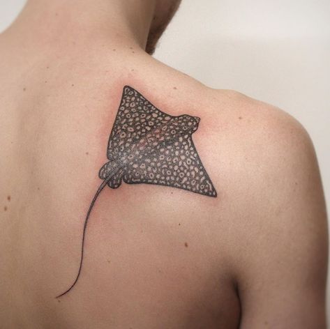 Eagle Ray Tattoo, Sumi Tattoo, Beach Inspired Tattoos, Underwater Tattoo, Ocean Sleeve, Stingray Tattoo, Ray Tattoo, Eagle Ray, Jellyfish Tattoo