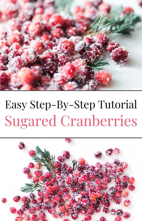 Learn how to make sugared cranberries with this quick and easy sugar cranberries recipe. These candied cranberries are perfect for holiday celebrations like Thanksgiving and Christmas. Enjoy this festive treat and discover how to sugar cranberries for the best sugared cranberries to impress your guests! Sugar Cranberries, Cranberry Treats, Fresh Cranberry Recipes, Cranberry Thanksgiving, Cranberry Baking, Candied Cranberries, Cranberry Dessert, Christmas Desserts Easy, Sugared Cranberries