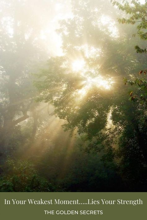 Ethereal Aesthetic, Image Nature, Tree Photography, Alam Yang Indah, Fine Art Photo, Sun Rays, Nature Aesthetic, Green Aesthetic, Art Photo