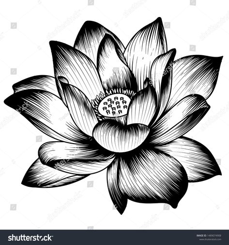 Lotus Drawing, V Tattoo, Lily Flower Tattoos, Avengers Drawings, Lotus Flower Art, Buddha Tattoo, Neck Tattoo For Guys, Back Tattoos For Guys, Graphic Ideas