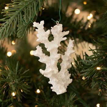 White Coral Ornament | Hobby Lobby | 80857154 Teal Christmas Decorations, Beachy Christmas Decor, Coastal Tree, Coastal Ornament, Pottery Barn Christmas, Coral Decor, Nautical Crafts, Coastal Holiday, Beachy Christmas