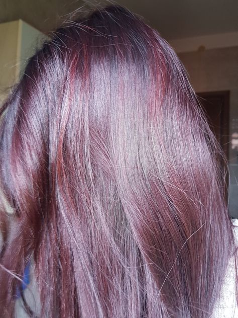 #henna #hennahair #henne #purplehair Purple Henna Hair, Bun On Long Hair, Henna Dyed Hair, Purple Henna, Sag Season, Messy Bun Hairstyle, Henna Hair Color, Hairstyle For Women, Short Layered Bob Hairstyles