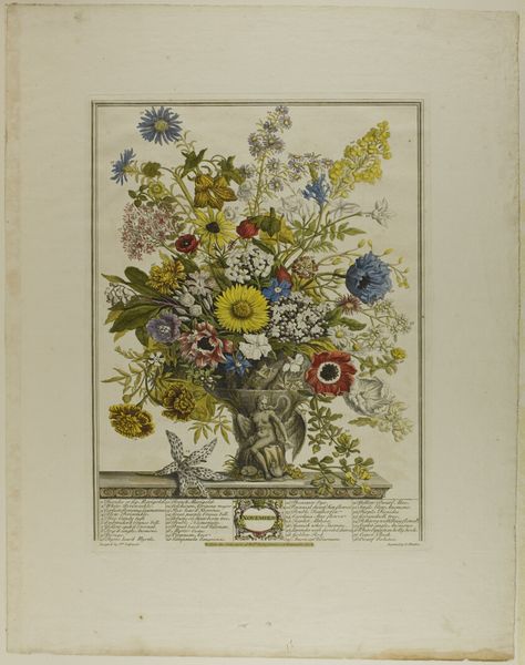 November, from Twelve Months of Flowers | The Art Institute of Chicago August Flowers, October Flowers, July Flowers, October Art, Illustration Botanique, Winterthur, Colonial Williamsburg, Month Flowers, Flowers Print