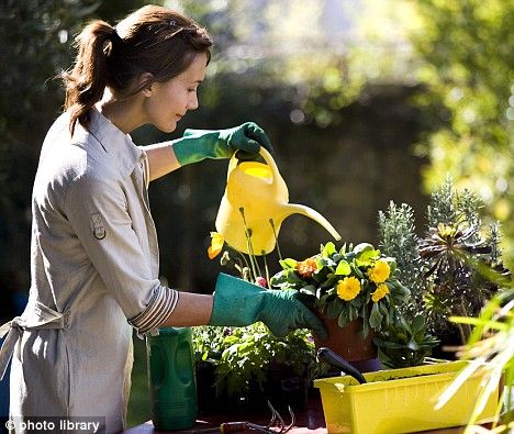 Woman Watering Plants, Nettle Tea, Get Into Shape, Classic Rock And Roll, Roger Waters, Robert Plant, Flower Food, Music Humor, Water Flowers