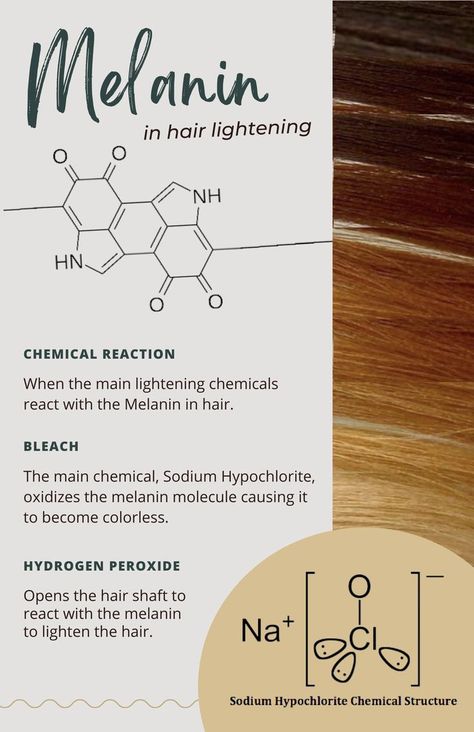 How the 2 common lightening agents, bleach and peroxide reacts with the melanin in the hair to lighten it. I don't own these pictures. Peroxide Hair Lightener, Hair Chemistry, Cosmetology State Board Exam, Hair Color Quiz, Cosmetology State Board, Cosmetic Science, Hair Theory, Peroxide Hair, Permanent Straightening