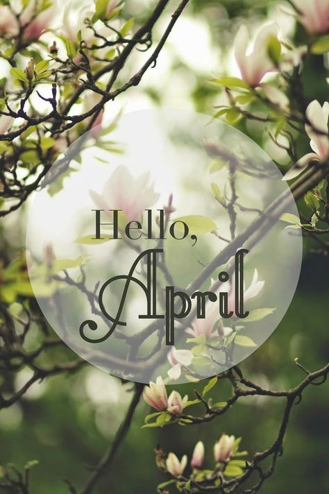 75 Hello April Quotes & Sayings April Images, Neuer Monat, April Quotes, Frühling Wallpaper, Seasons Months, Hello April, Days And Months, Blue Sky Background, Spring Wallpaper