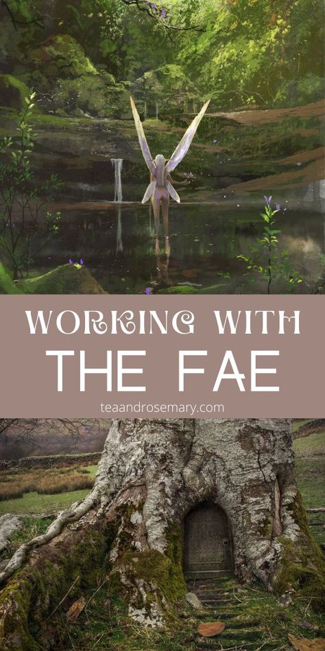 Fae Magick Spells, Fairy Offering Ideas, How To Work With The Fae, Witch Fairy Aesthetic, Fae Abilities, The Fae Folk, Working With Angels, Brownie Fae, Rules Of The Fae