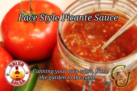 Pace Salsa Recipe, Pace Picante Sauce Recipe, Picante Sauce Recipe, Garden Vegetable Recipes, Canned Salsa Recipes, Salsa Canning Recipes, Paleo Sauces, Canning Salsa, Picante Sauce