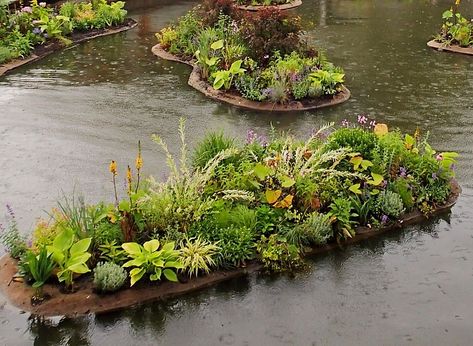 Floating Wetland, Bog Filter, Floating Gardens, Filter Ideas, Mini Pond, Island Garden, Stream Bed, Floating Islands, Natural Swimming Ponds