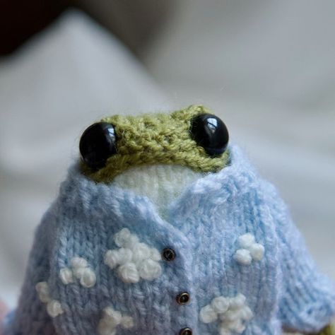 Froggy Clothes, Frog Sewing, Frog Knitting, Knitted Frog, Frog Doll, Frog Pattern, Frog Frog, Frog Decor, Cloudy Weather