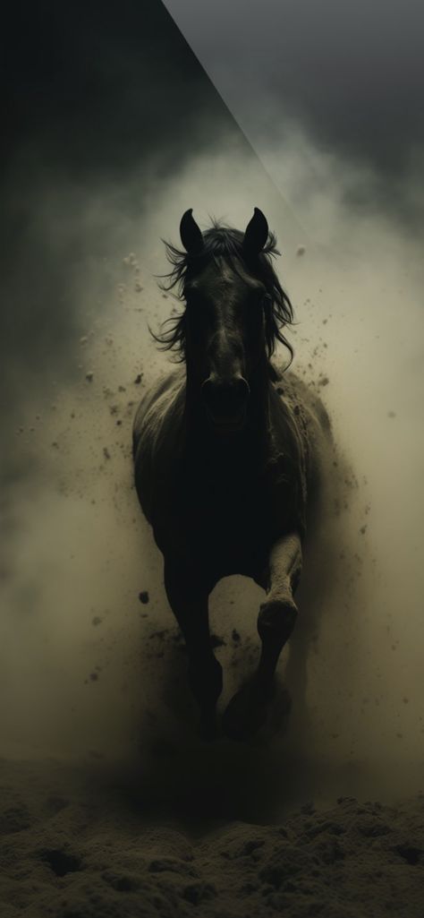 Black Stallion Horse Wallpaper, Black Stallion Aesthetic, Horses Wallpaper Iphone, Dark Horse Aesthetic, Black Horse Wallpaper Iphone, Dark Horse Wallpaper, Horse Wallpaper Aesthetic, Black Horse Aesthetic, Running Horse Wallpaper For Phone