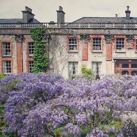 Craig Atkinson on Instagram: "What a stunner …

Bantry House in all its glory! @bantryhouse" Bantry House, Castle, On Instagram, Instagram