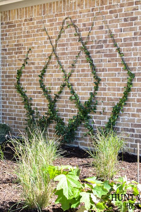 Add a gorgeous focal point to your landscape by adding this diamond patterned wire trellis to your yard. Easy DIY wire trellis you can complete in an afternoon along with a trellis plant selection idea list! #tellis #gardentip #DIYlandscape #trellisplants #englishgarden Clematis Trellis, Wire Trellis, Wall Trellis, Diy Garden Trellis, Trellis Ideas, Diy Trellis, Trellis Plants, Walled Garden, Low Maintenance Garden