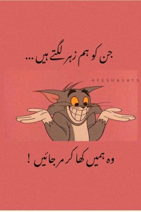 🤣 #memes #meme #funny #urdu Funny Memes In Urdu, Memes Urdu, Urdu Memes, Funny Urdu, Gary Barlow, Very Funny Jokes, Meme Funny, 24 Years Old, Satire