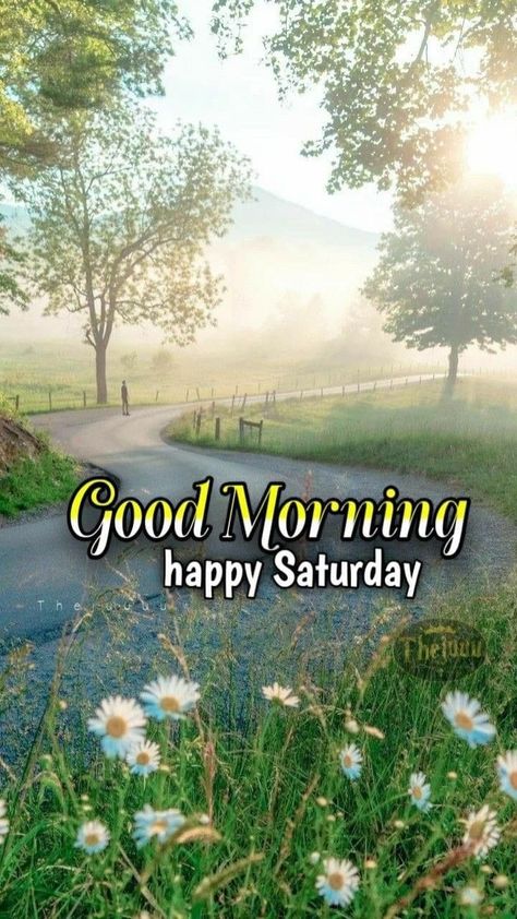 Good Morning Saturday Wishes, Good Morning Saturday Images, Happy Saturday Quotes, Saturday Morning Quotes, Happy Saturday Morning, Happy Saturday Images, Good Morning Animals, Saturday Images, Good Morning Happy Saturday