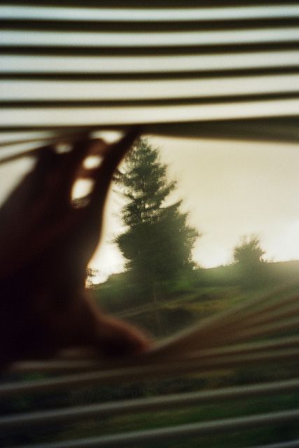 Through A Window, Fotografi Vintage, Into The Wild, The Window, Film Photography, Aesthetic Pictures, Photography Inspiration, Mood Board, Blinds