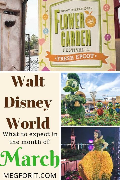 Disney In March, Disney World In March, Disney Style Drawing, Cream Drinks, Disney Costumes Diy, Ice Cream Drinks, Disney Wedding Theme, Orlando Parks, Month Of March