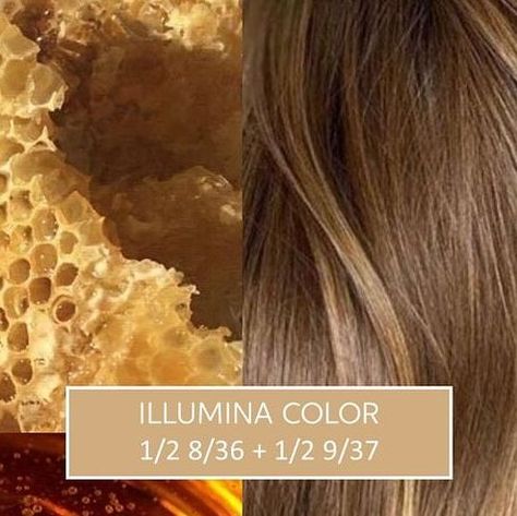 Honey Brown Formula, Wella Illumina Color Formulas, Baby Lights Miel, Wella Formulas, Wella Illumina Color, Wella Toner, Wella Illumina, Colour Touch Wella, Wella Hair Color