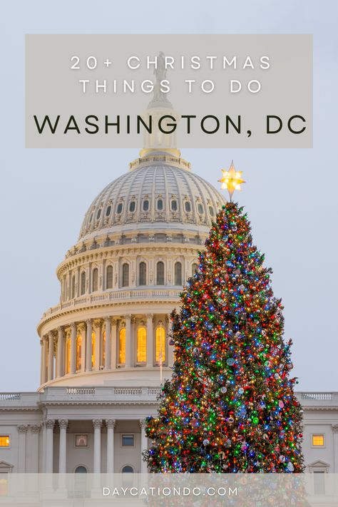 Celebrating the holidays in Washington, DC? Check out Christmas trees, markets, light shows, and more! Click the link for the full schedule. Washington Dc Christmas Things To Do In, Washington Dc Aesthetic Winter, Washington Dc At Christmas, Washington Dc December, Christmas In Washington Dc, Washington Dc In December, Christmas In Dc, Washington Dc Winter, Washington Dc Bucket List