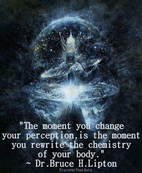 Quantum Physics "The moment you change your perception, is the moment you rewrite the chemistry of your body." ~ Dr. Bruce H. Lipton #quote Artistic Poetry, Bruce Lipton, A Course In Miracles, Quantum Physics, New Energy, A Quote, The Science, Spiritual Journey, Spiritual Awakening