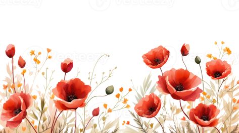 Poppy flowers isolated Poppy Flowers, Tree Saw, Wedding People, Heart Tree, Cityscape Photos, Logo Banners, Nature Backgrounds, Heart With Arrow, Poppy Flower