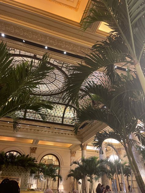 The Palm court restaurant Plaza Hotel New York, Plant Witch, Living In A Hotel, Hotel Aesthetic, Palm Court, The Plaza Hotel, York Aesthetic, Hotel Building, New York Aesthetic