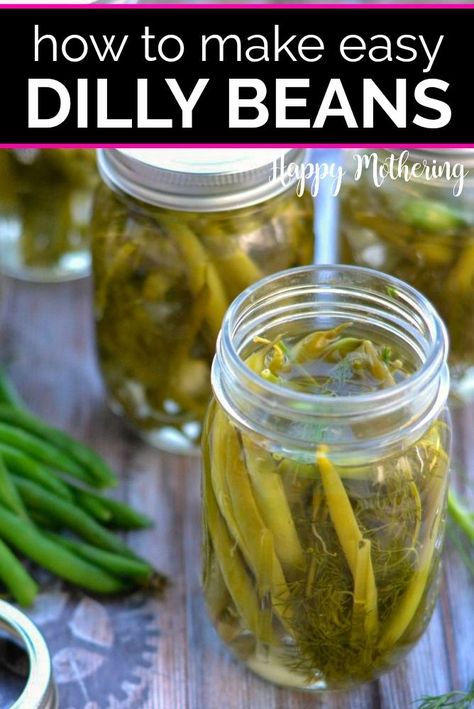 Dill Green Beans Canned, Dilled Green Beans, Dilly Green Beans, Pickled Green Bean Recipes, Pressure Canning Green Beans, Pickled Beans, Pickled Recipes, Newest Recipes, Pickled Green Beans